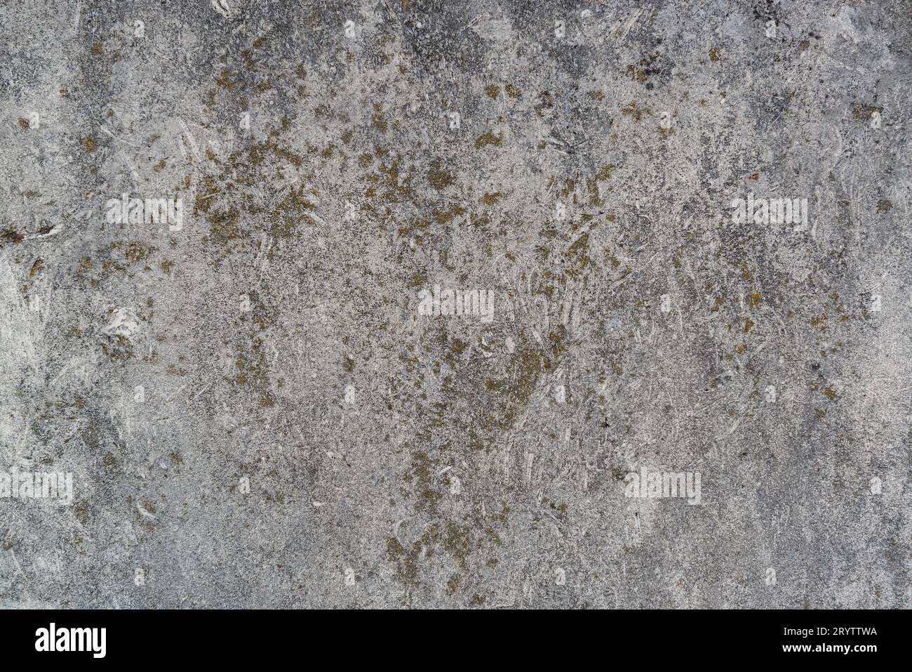 Old concrete wall with moss texture. Aged construction background. Loft wall Stock Photo
