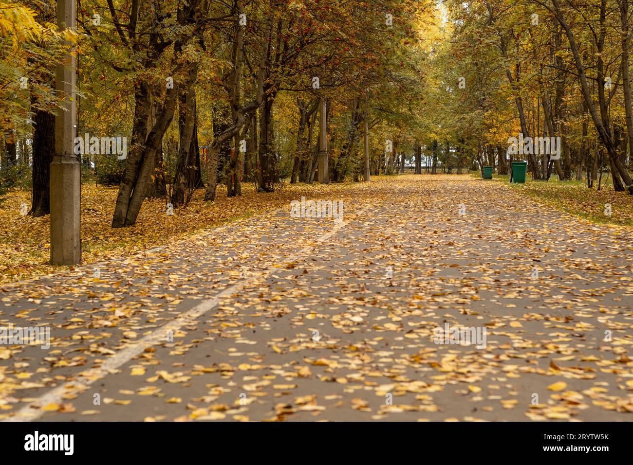 Beautiful romantic alley in a park with colorful trees and sunlight ...