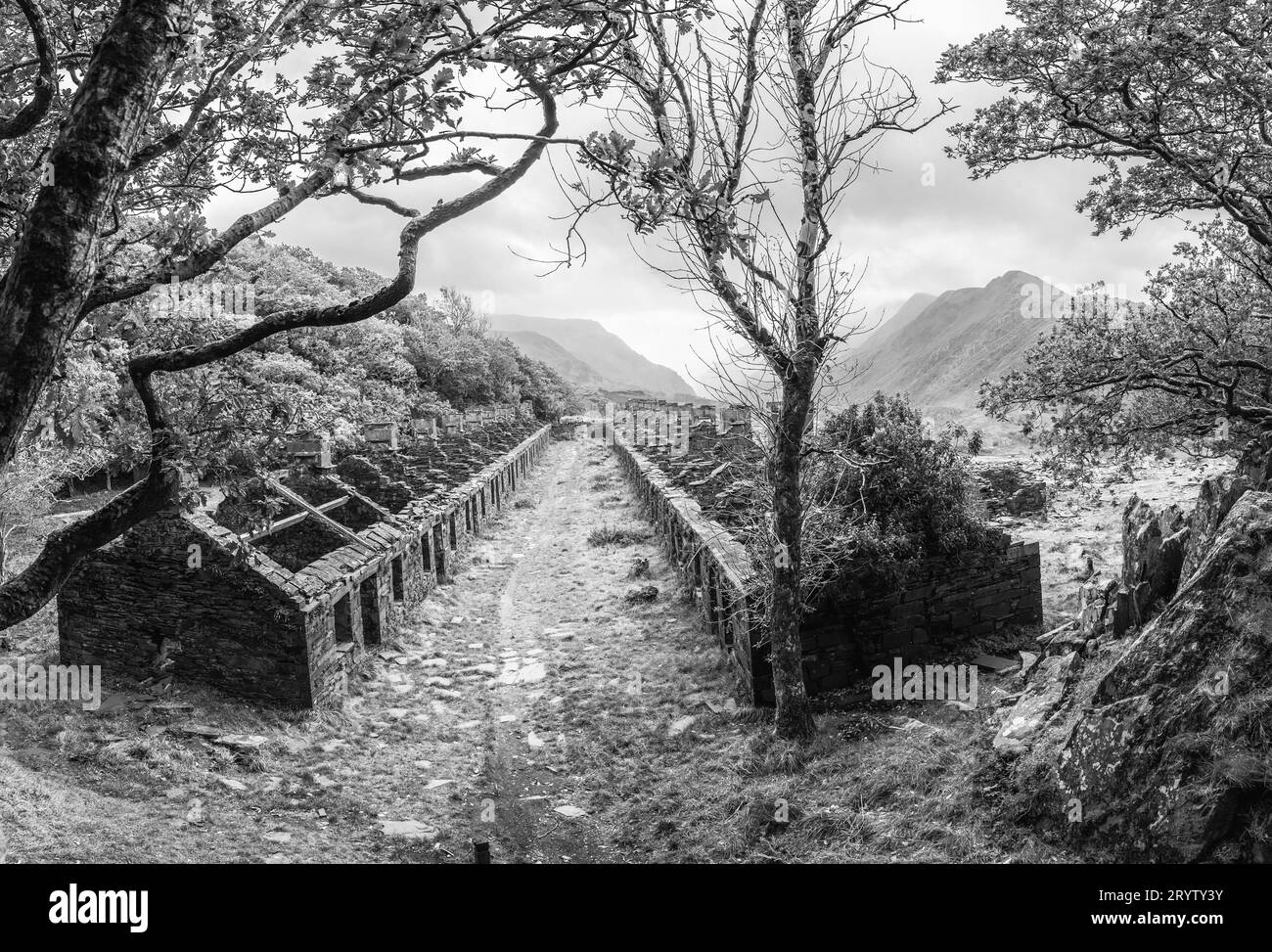 These are Anglesey Barracks miners cottages at the abandoned Dinorwig