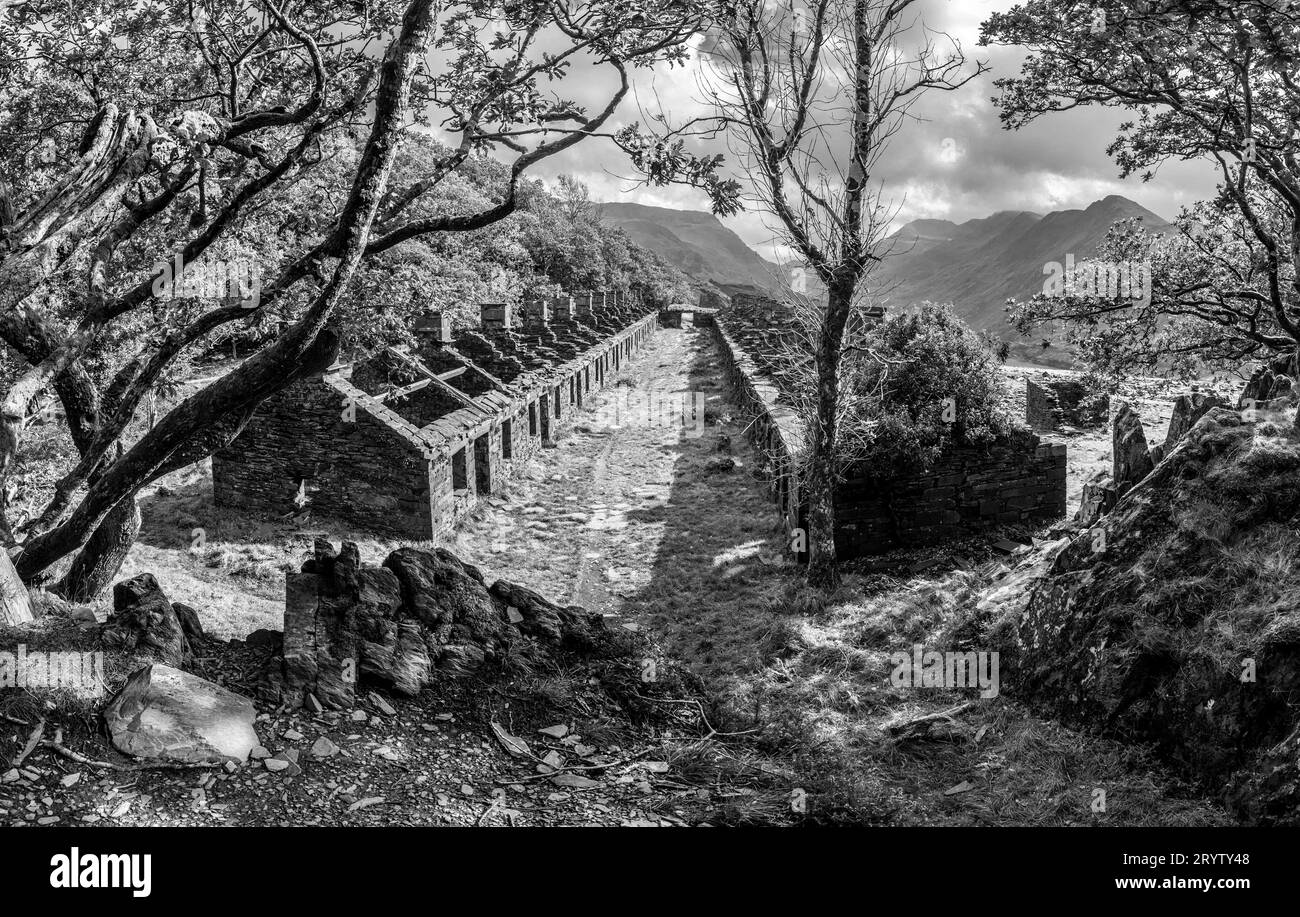 Anglesey barracks Black and White Stock Photos & Images Alamy