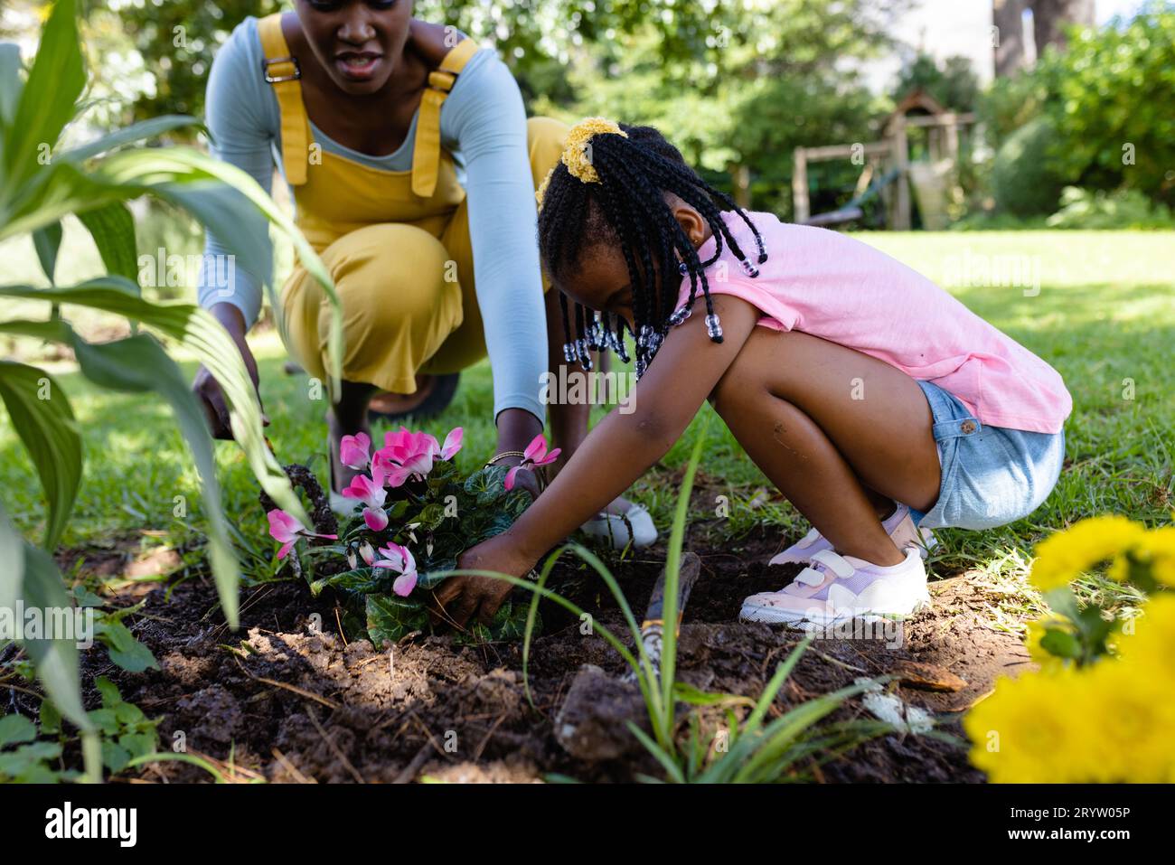 African american mother assisting daughter in planting pink flowers in ...