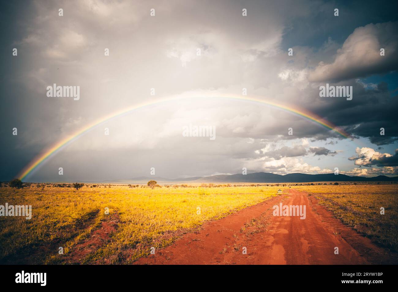 Rainy season in the savannah of Kenya. Landscape in Africa, sun, rain, rainbow, safari photography. Stock Photo