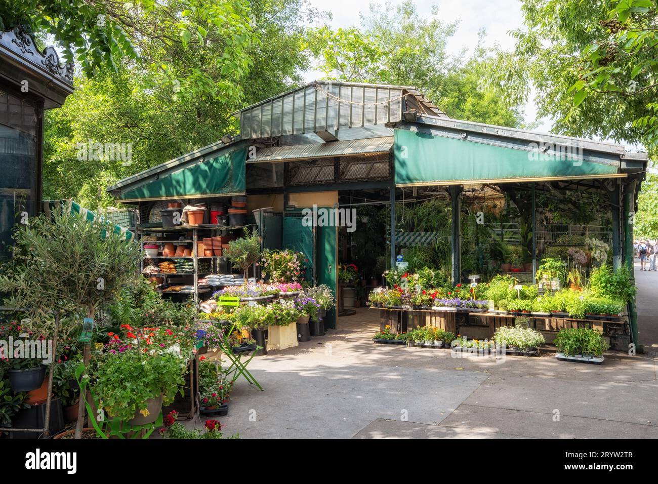 Parisian flower market selling flowers and various plants in Paris