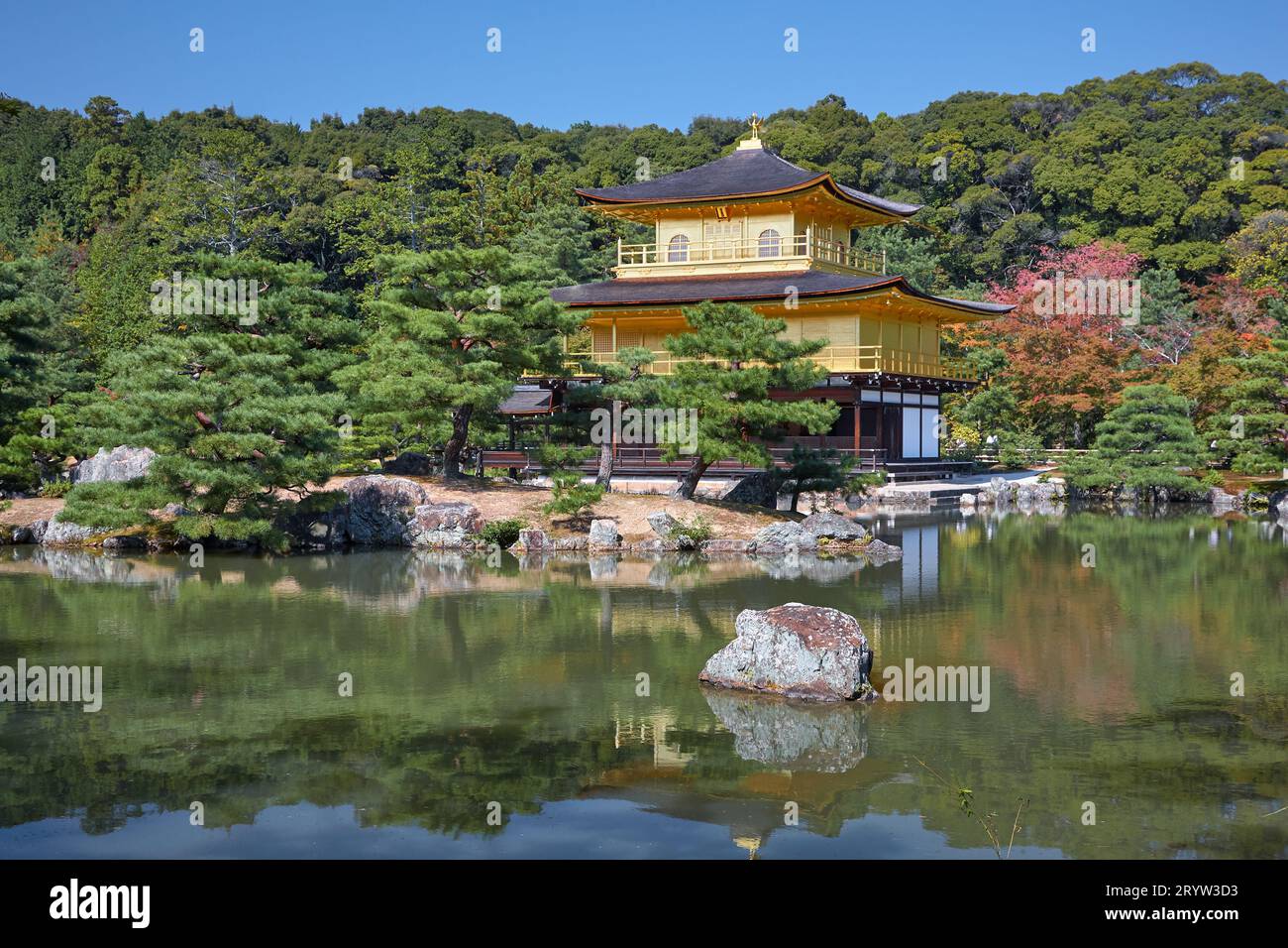 Zen Buddhist temple Kinkaku-ji (Temple of the Golden Pavilion). Kyoto. Japan Stock Photo