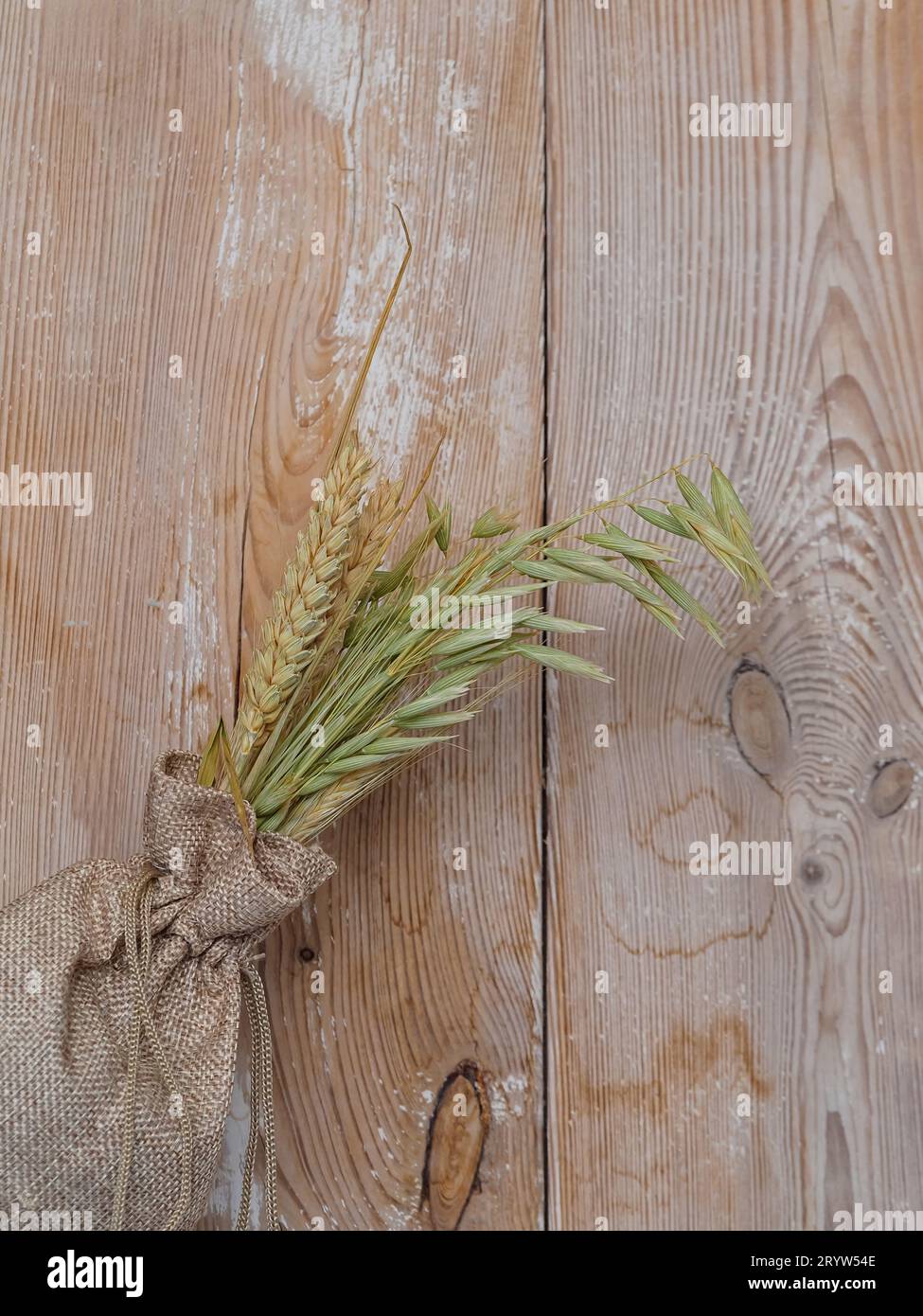 ears of grain sticking out of a linen bag, a symbol of fertility and abundant harvests, an element of naturalness and simplicity. The boards give the Stock Photo