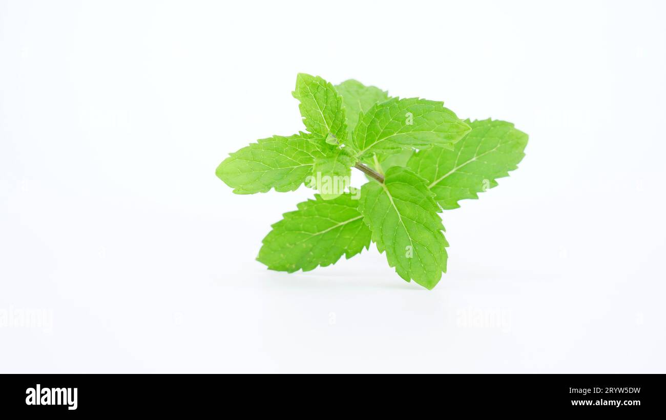 Indian farming system Cut Out Stock Images & Pictures Alamy