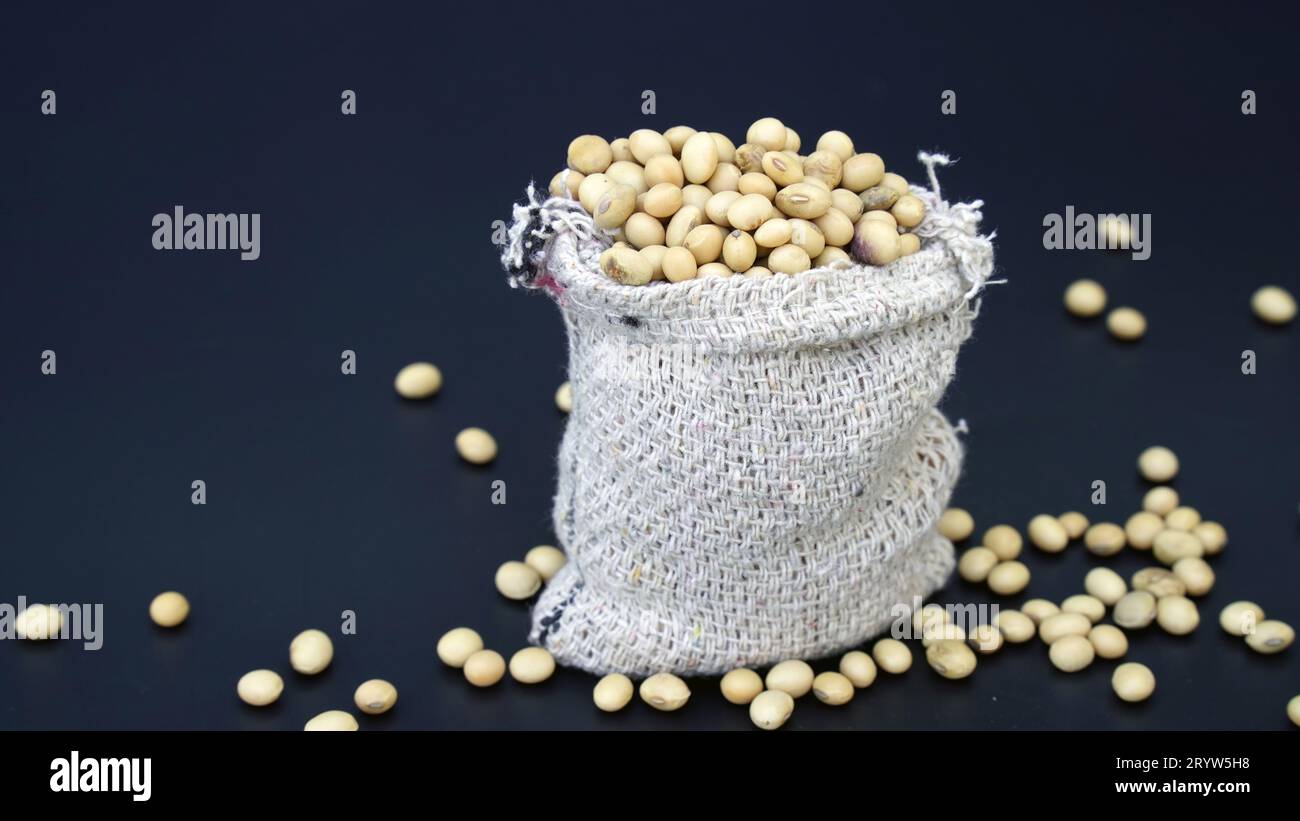 Flat lay Pile of dried Soya beans. It use for animal protein for