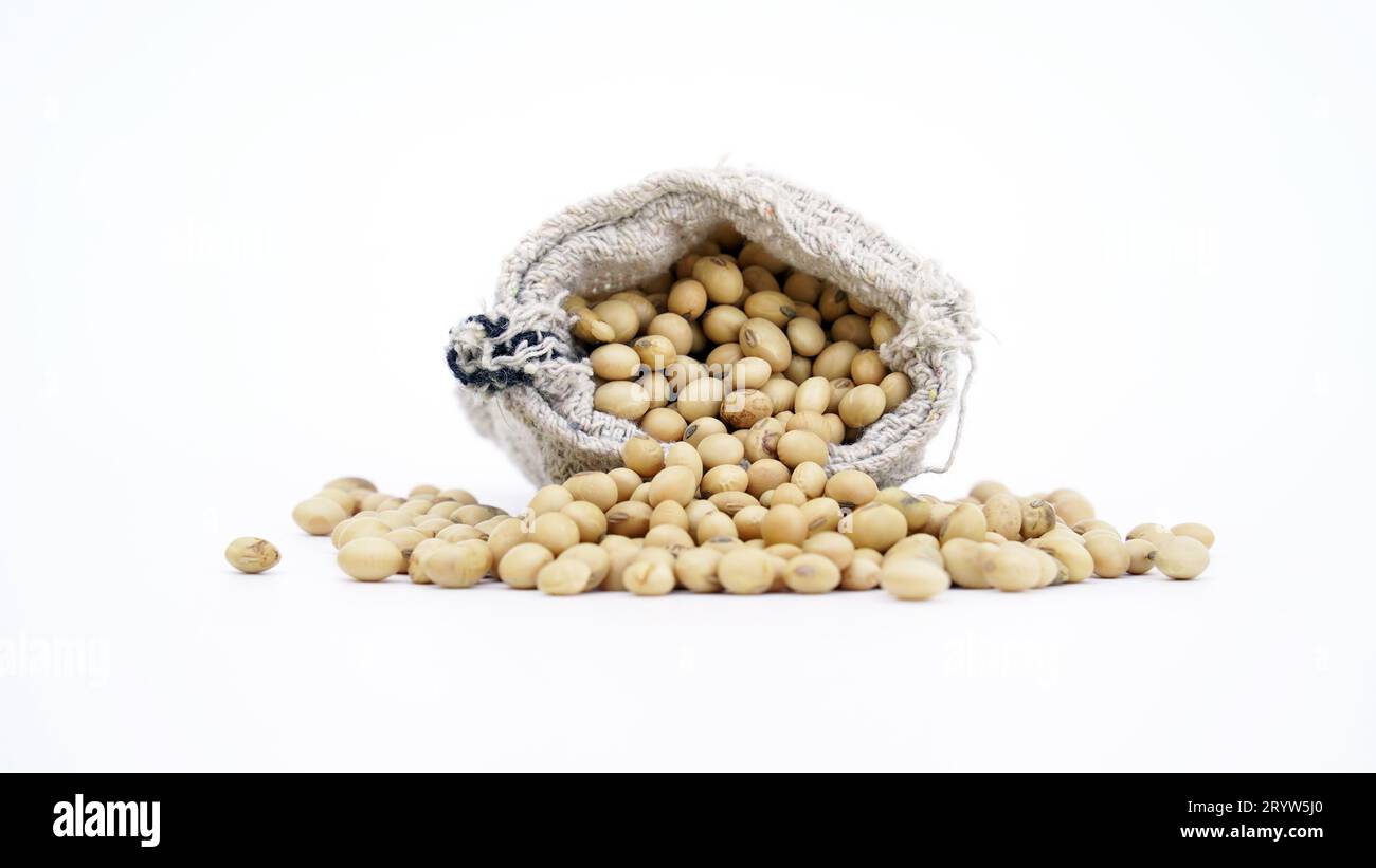 Flat lay Pile of dried Soya beans. It use for animal protein for