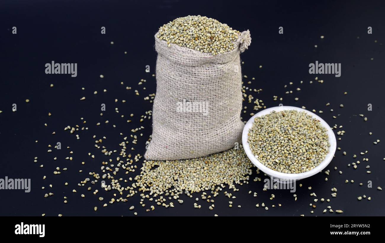 Pearl Millet Seeds Also Know as Bajra, Bajri, Bulrush Millet or Indian