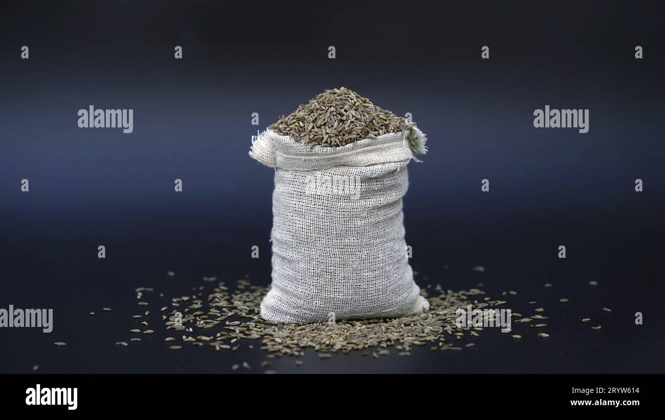 Caraway Seed Pile Top View known as Meridian Fennel and Persian Cumin