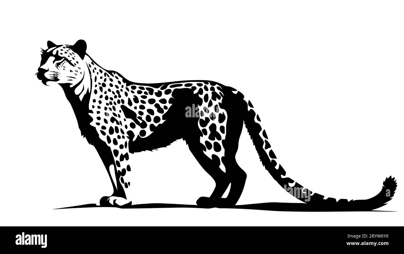 Leopard Silhouette Gepard Panther. Black Silhouette On White Background 