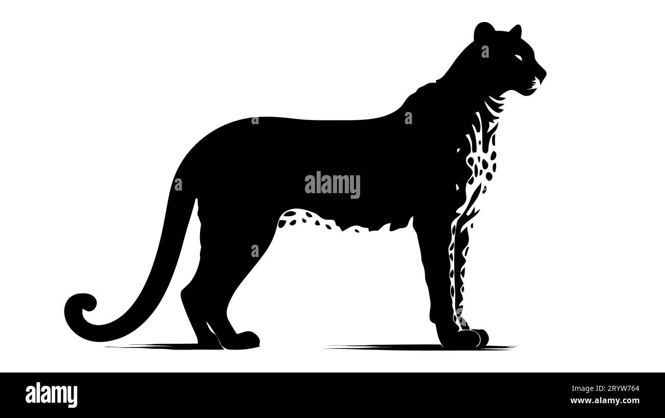 Leopard Silhouette gepard panther. Black Silhouette on white background