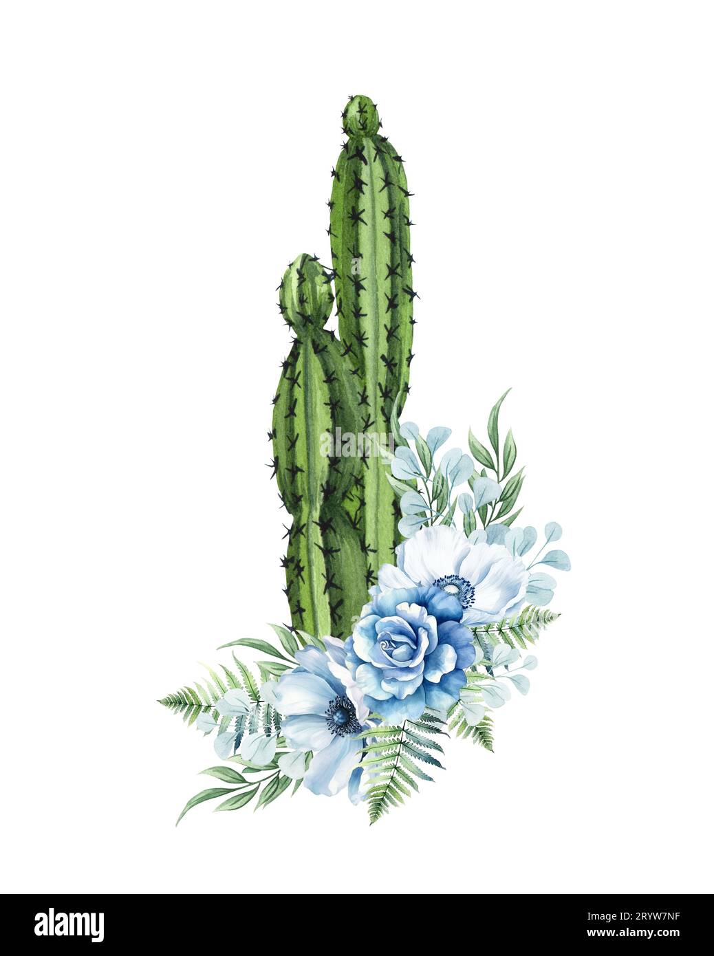 Watercolor floral Cactus. Western cactus with blue flowers. Farmhouse  ructick wedding Stock Photo - Alamy
