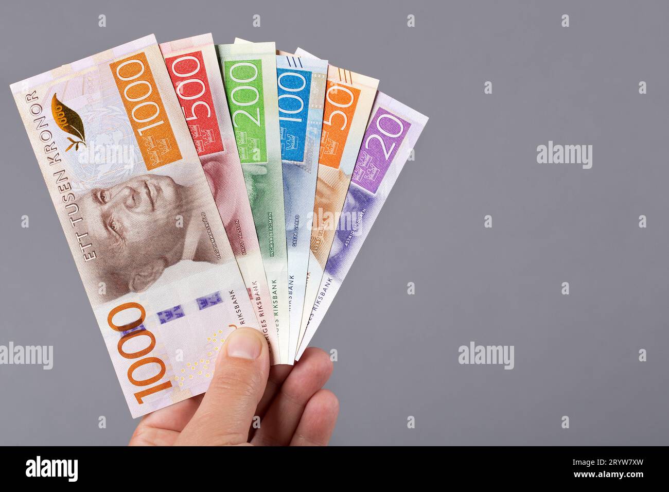 Swedish krona in the hand on a gray background Stock Photo - Alamy