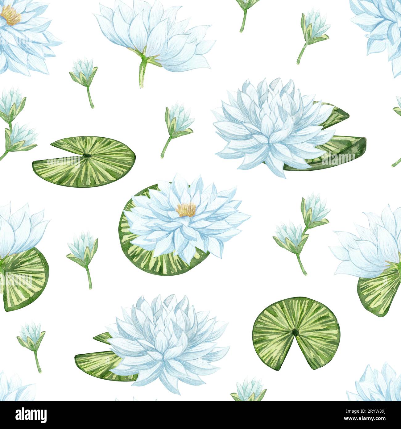 Watercolor seamless pattern with beautiful lotus flower. Hand drawn white water lilies and leaves floral background. Stock Photo
