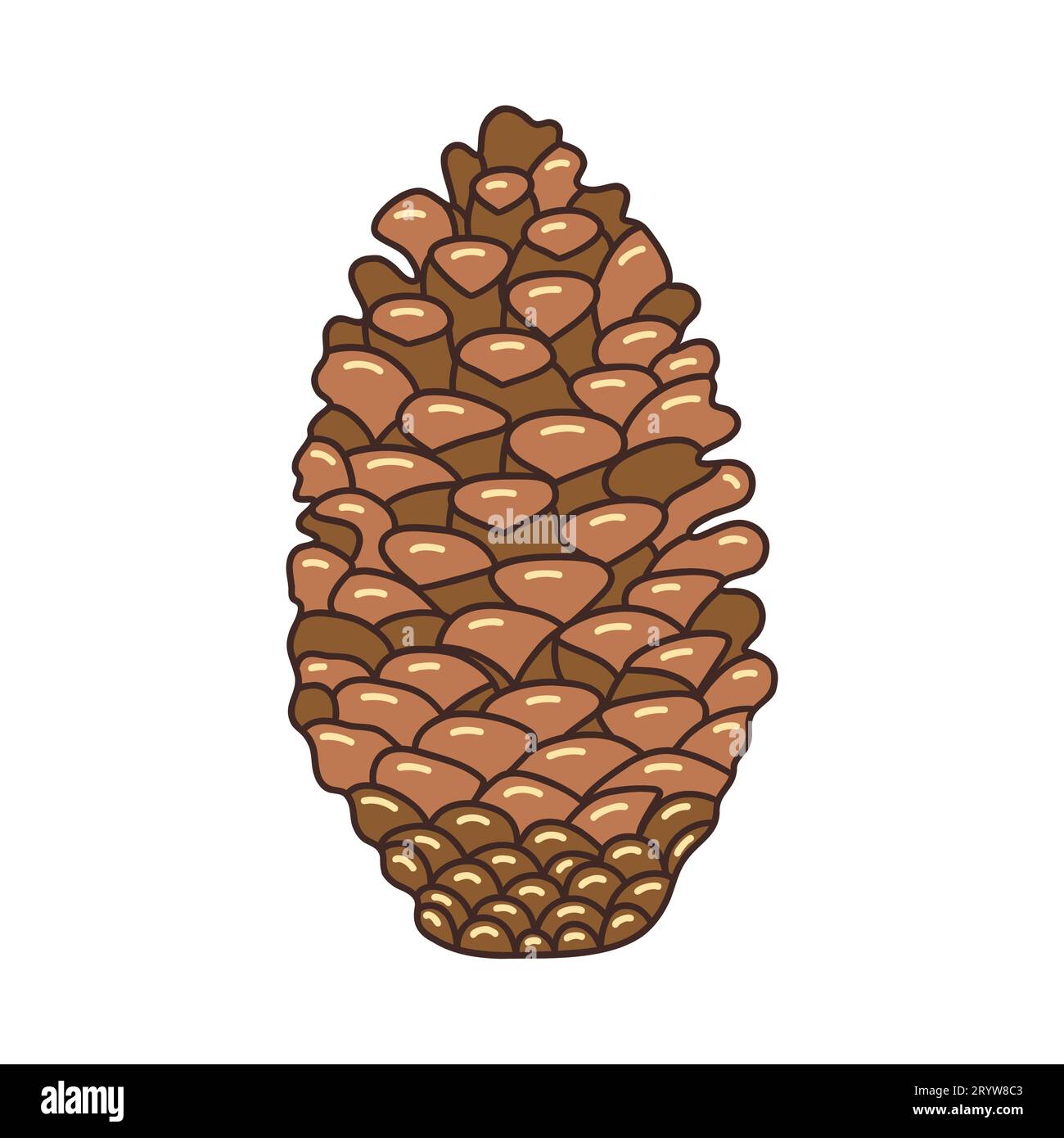 Pine cone on white background brown color. Colorful isolated vector ...