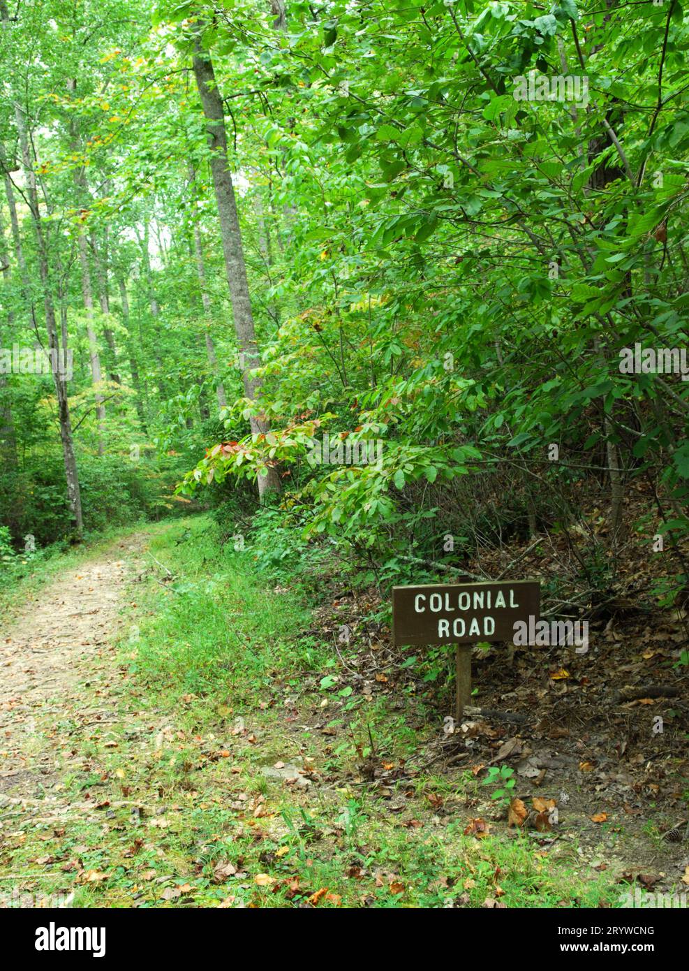 Photo shows Colonial Road sign beside hiking trail at the Kings Mountain National Military Park, South Carolina USA. Stock Photo