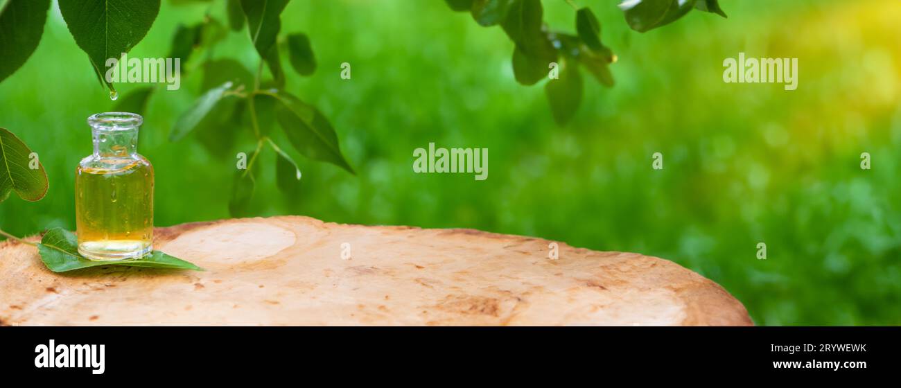 Eucalyptus oil extract hi-res stock photography and images - Page 6 - Alamy