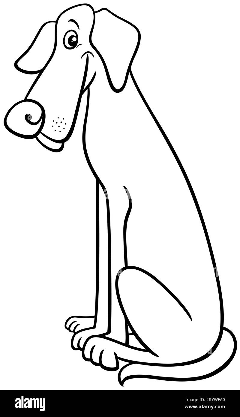 Black and white cartoon illustration of sitting Great Dane purebred dog animal character coloring page Stock Photo