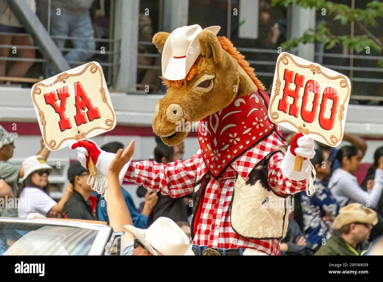 Calgary, Alberta, Canada. July 7, 2023. Harry the Horse Stampede mascot holding a couple of signs that said YAHOO at a public pa Stock Photo