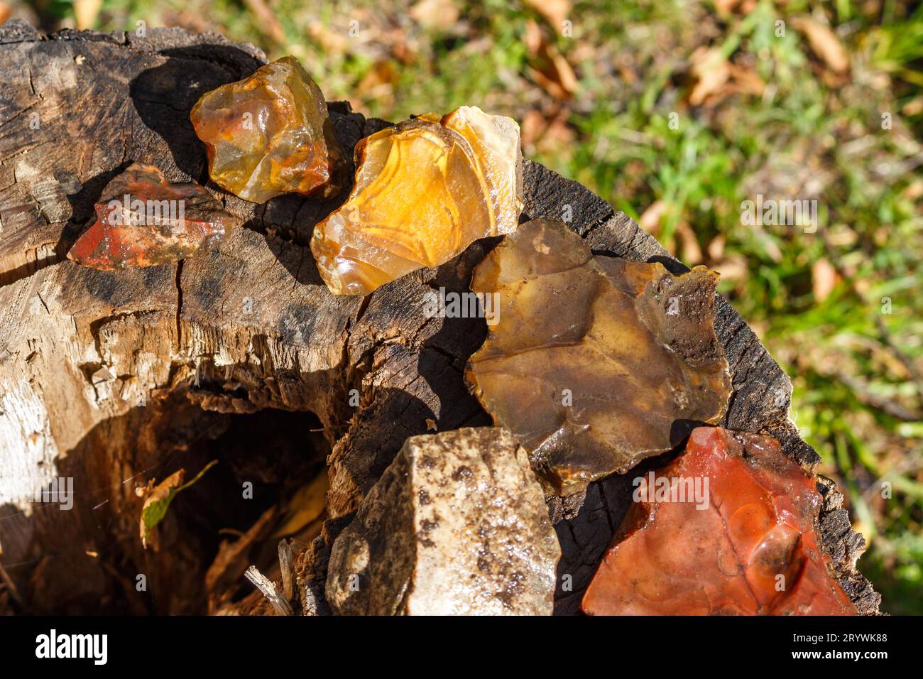 Flintstock Rocks Flint stones found in nature lying on a stump, rockhounding Stock Photo ...