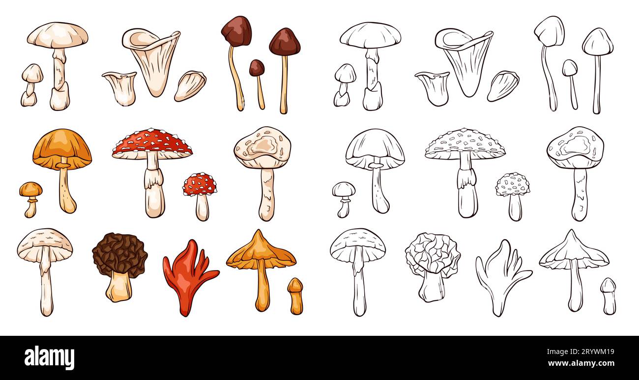 Inedible mushrooms set in line art style. Collection of colorful and monochrome mushrooms. Vector illustration isolated on a white background. Stock Vector
