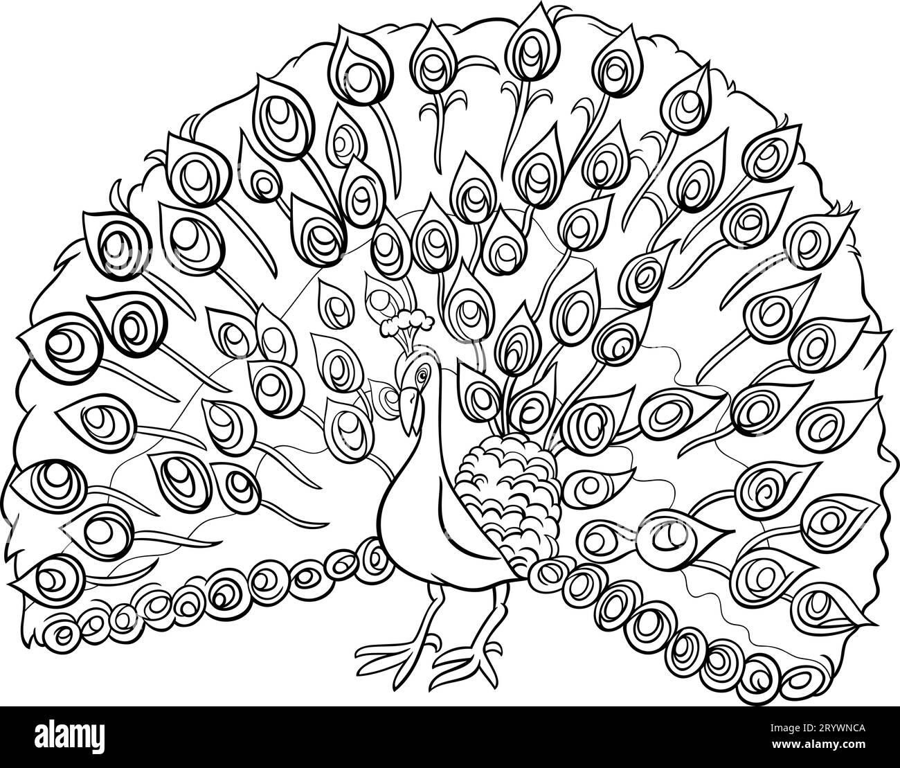 Black and white cartoon illustration of peacock bird comic animal