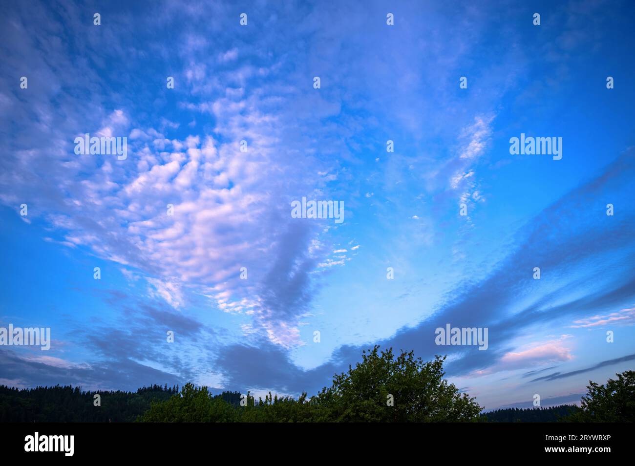 Blue cloudy sky (cirrocumulus) in early morning summer day over forest. Stock Photo