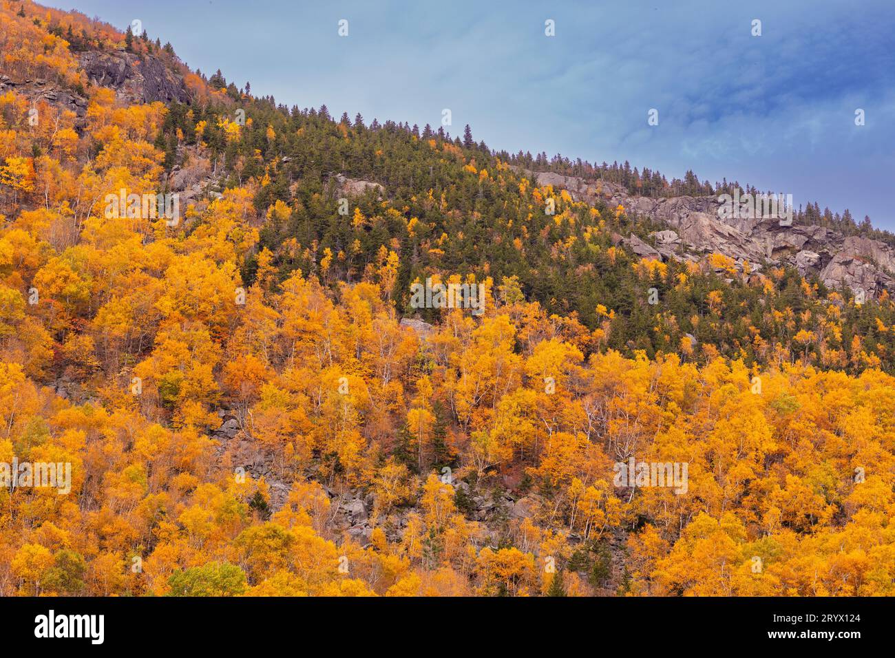 BRANDON GAP, VERMONT, USA - Autumn foliage at Mount Horrid cliffs, in Battell WIlderness, Green Mountains. Stock Photo