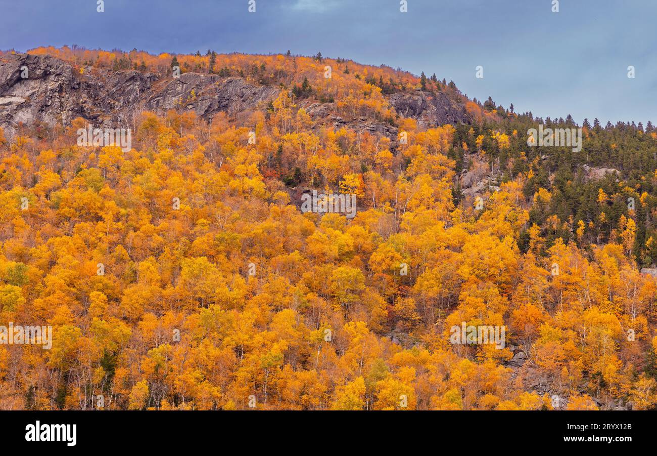 BRANDON GAP, VERMONT, USA - Autumn foliage at Mount Horrid cliffs, in Battell WIlderness, Green Mountains. Stock Photo
