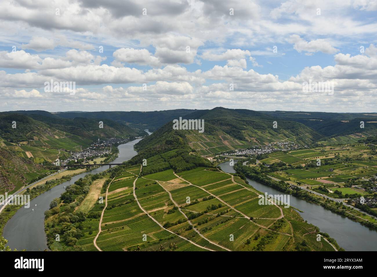 Famous Mosel river loop panorama near Kroev, Wolf and Traben-Trabach Germany with wine yards, idyllic landscape scenery and vine Stock Photo