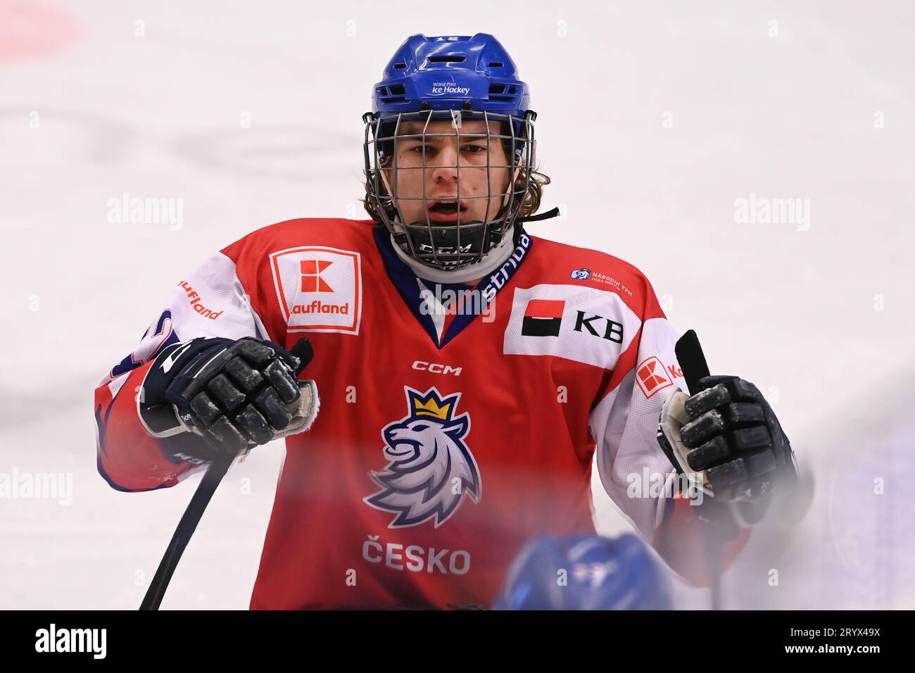 Nino niederreiter hi-res stock photography and images - Alamy