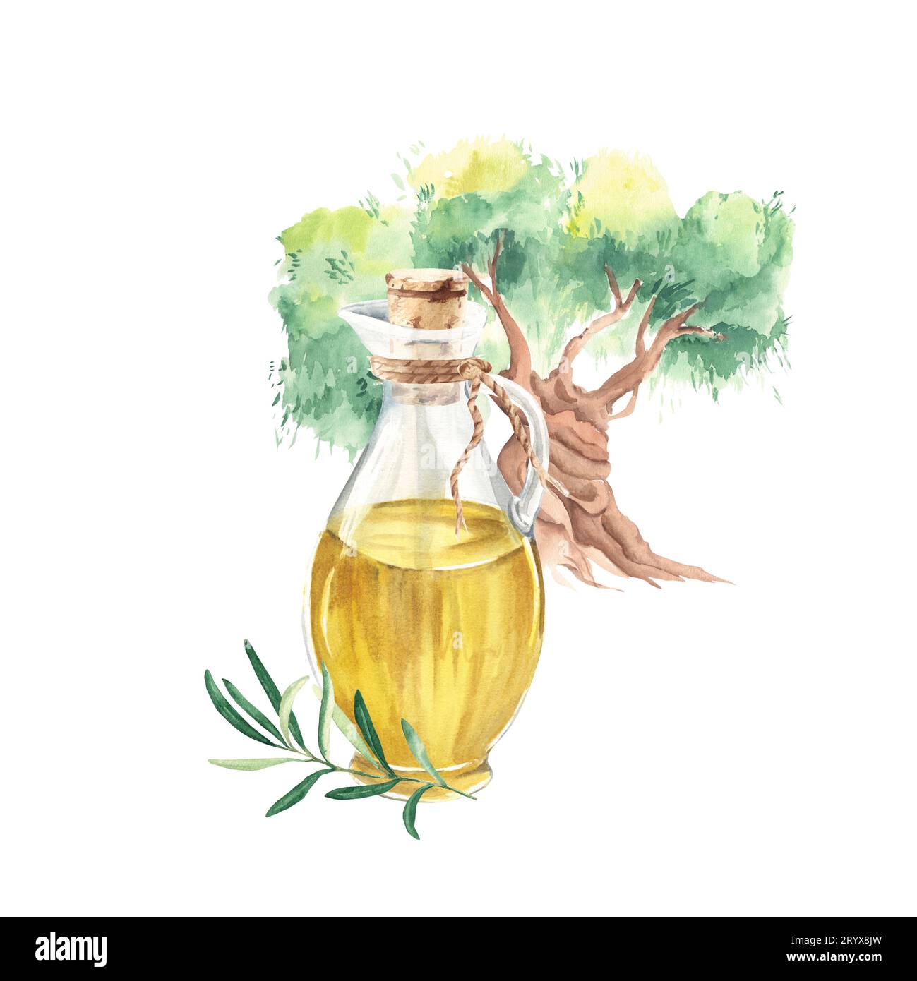 Composition of glass jug with oil, olive tree and branch. Hand drawn ...