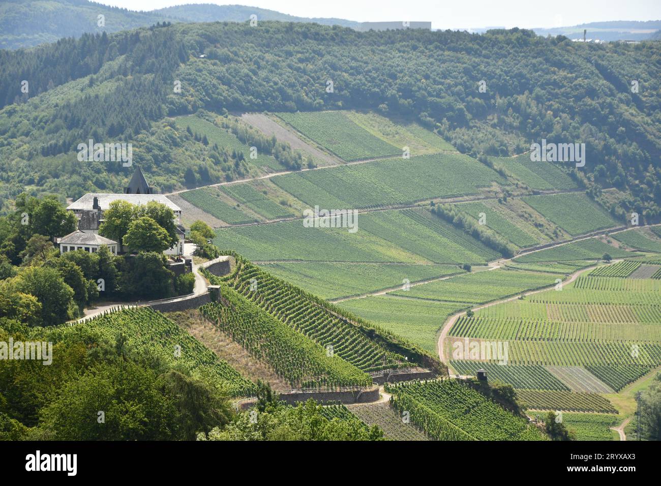 Aerial shot of an old castle on a vineyard in Moselle valley, Germany Stock Photo