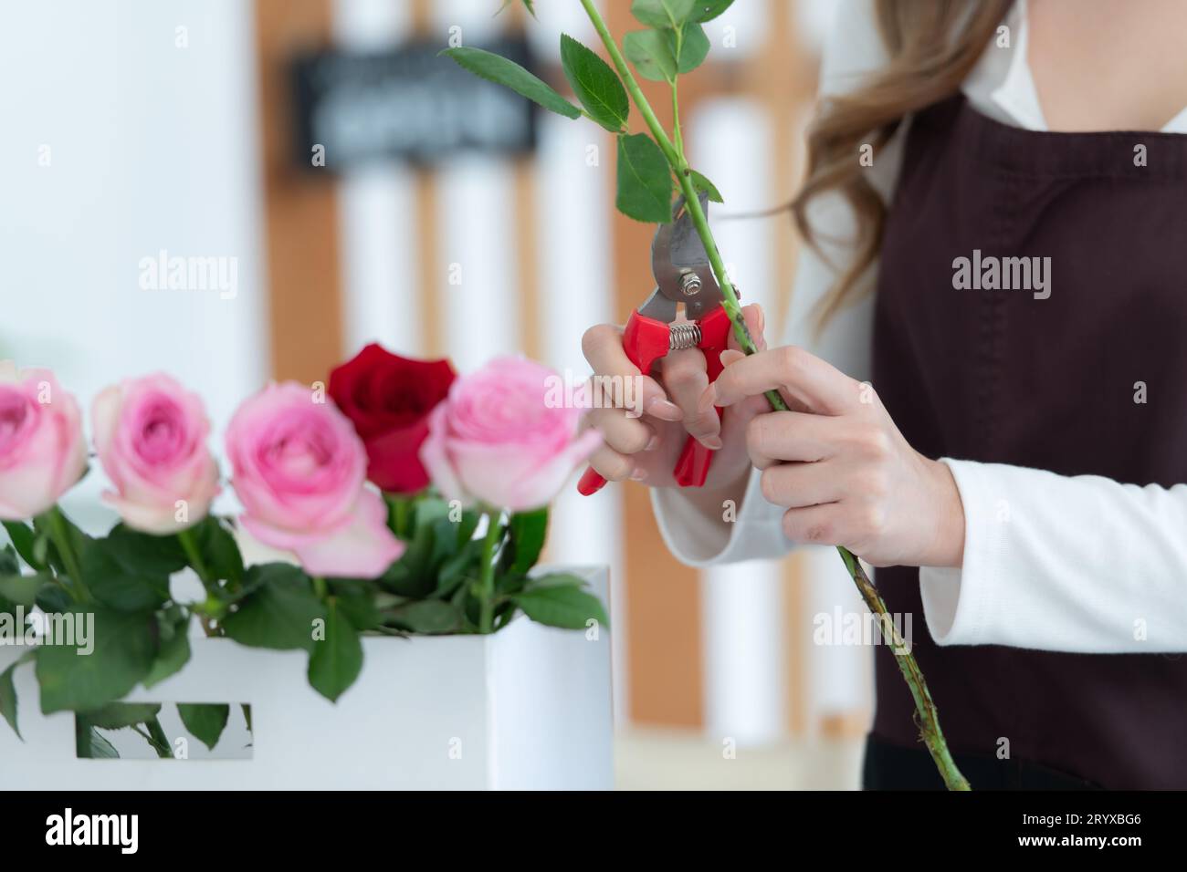 Beautiful young asian woman florist cutting rose flower in flower shop ...