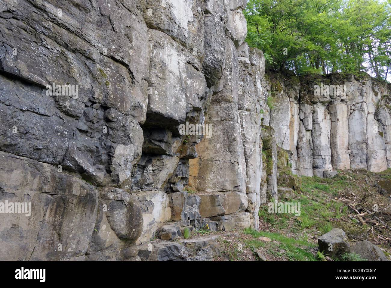 Waddock hi-res stock photography and images - Alamy