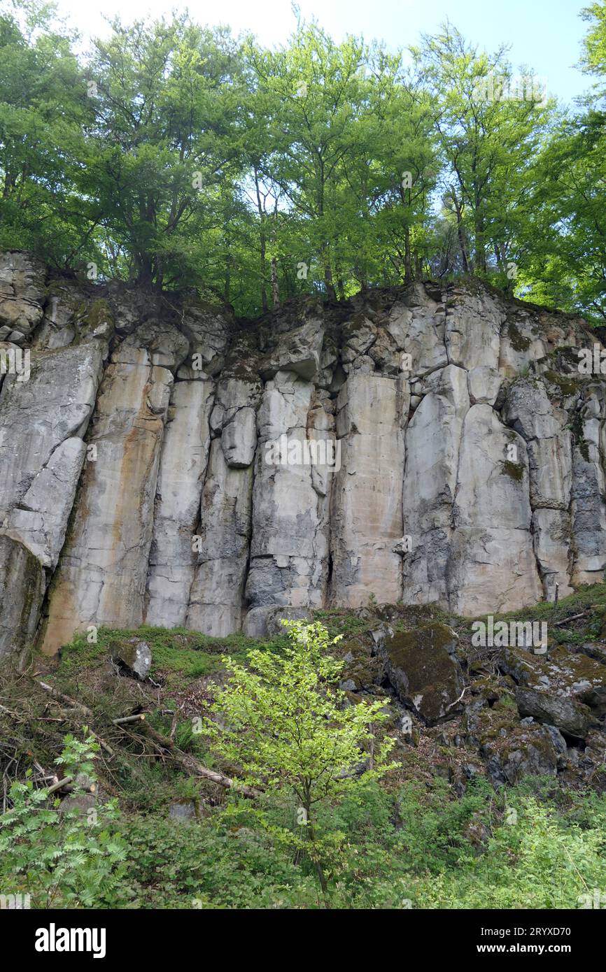 Waddock hi-res stock photography and images - Alamy