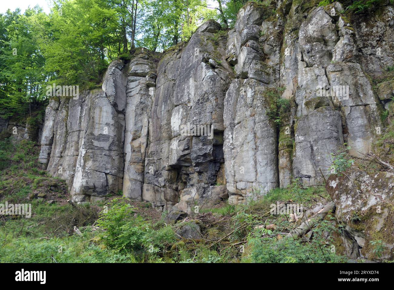 Waddock hi-res stock photography and images - Alamy