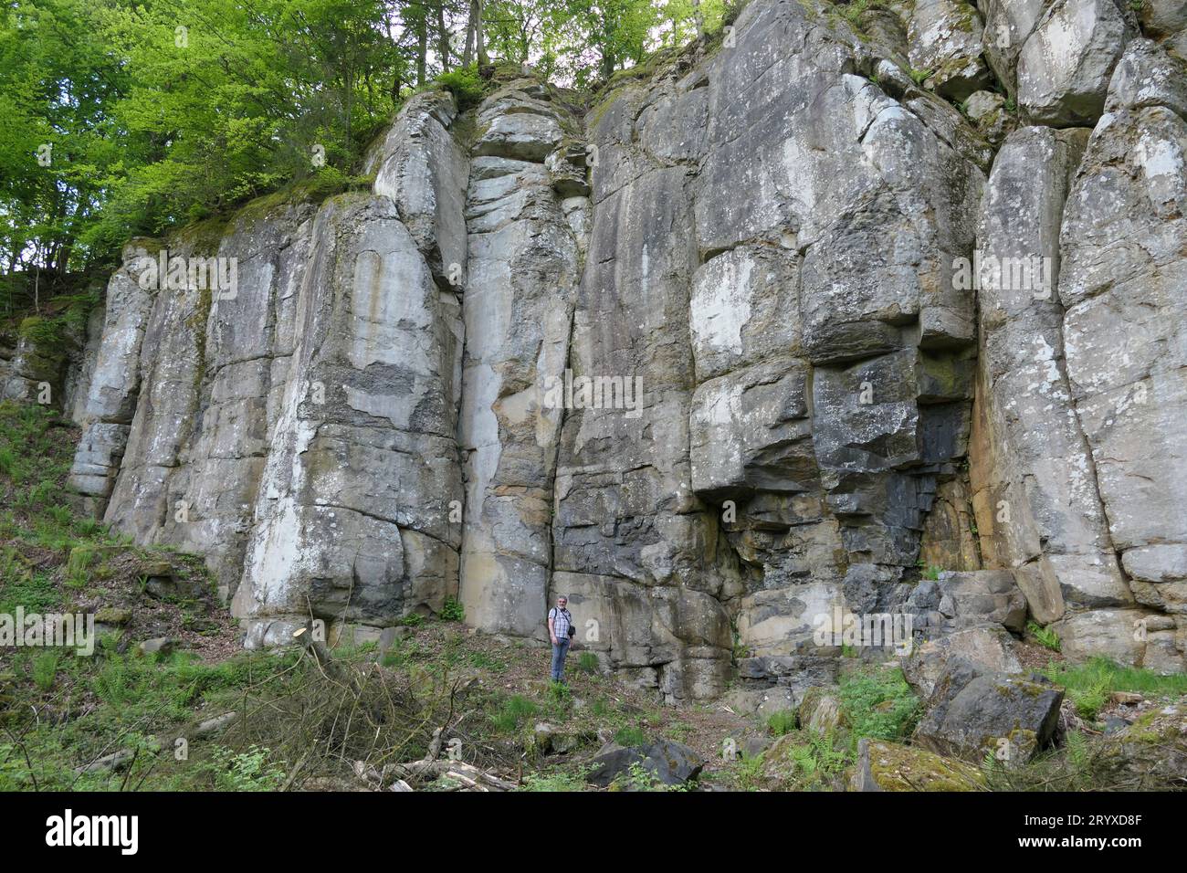 Waddock hi-res stock photography and images - Alamy