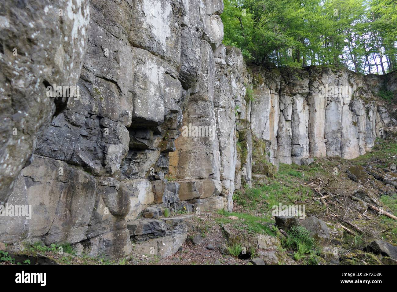 Waddock hi-res stock photography and images - Alamy