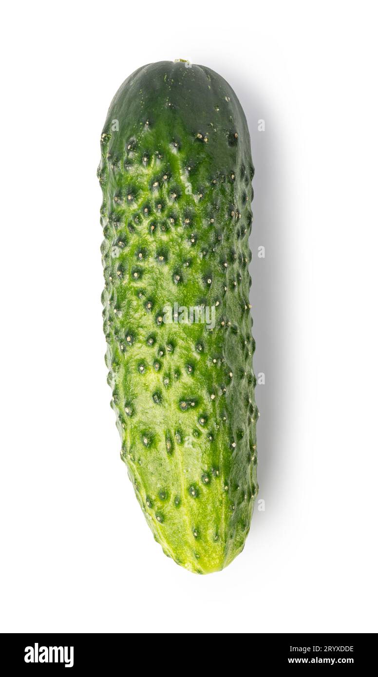 Cucumber Stock Photo