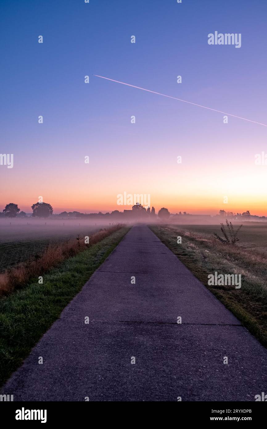 Summer Landscape with Field and Country Road Leading in the Fog ...