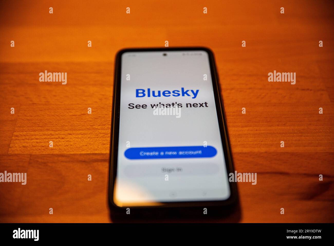 Bluesky App auf einen Handy Bonn. 02.10.2023 Bluesky App auf einen