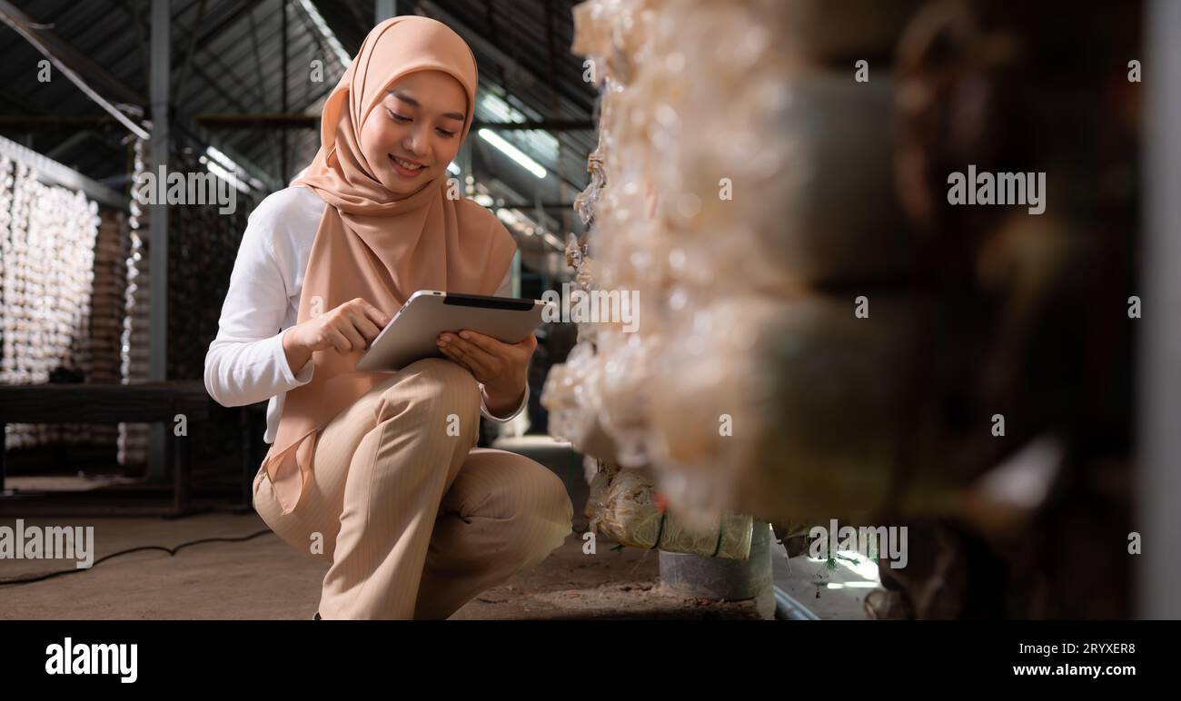 Young asian muslim female scientist research work at mushroom factory