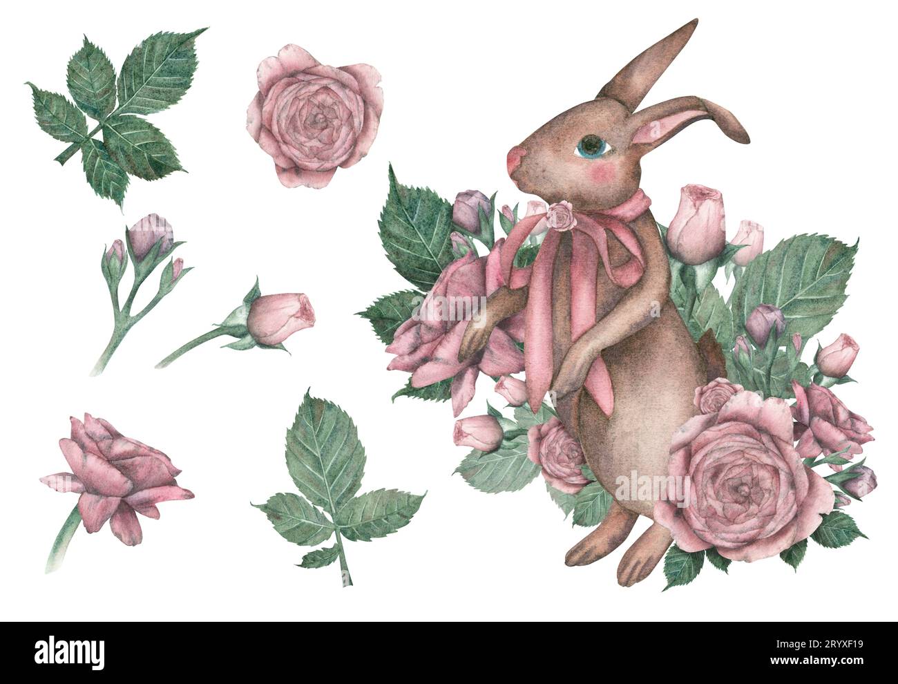 Watercolor set with a composition and isolates of a brown rabbit with a ...