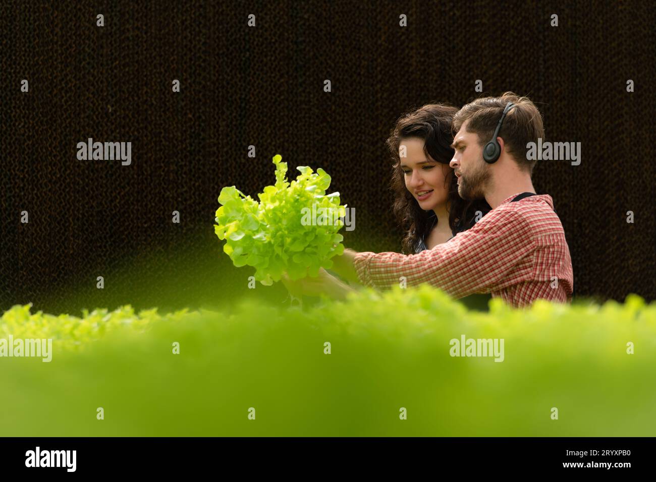 Two small businesspeople organic vegetable garden owner currently introducing customers and showing them his organic vegetable g Stock Photo