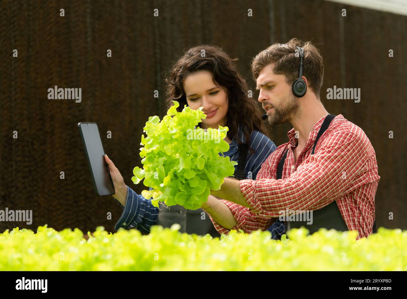 Two small businesspeople organic vegetable garden owner currently introducing customers and showing them his organic vegetable g Stock Photo