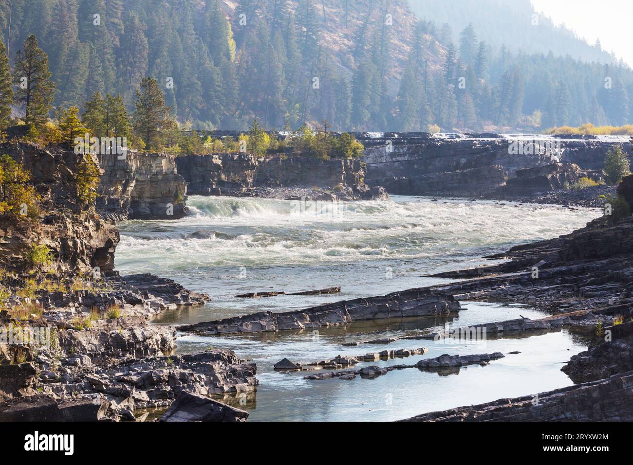 Kootenay river valley hi-res stock photography and images - Alamy