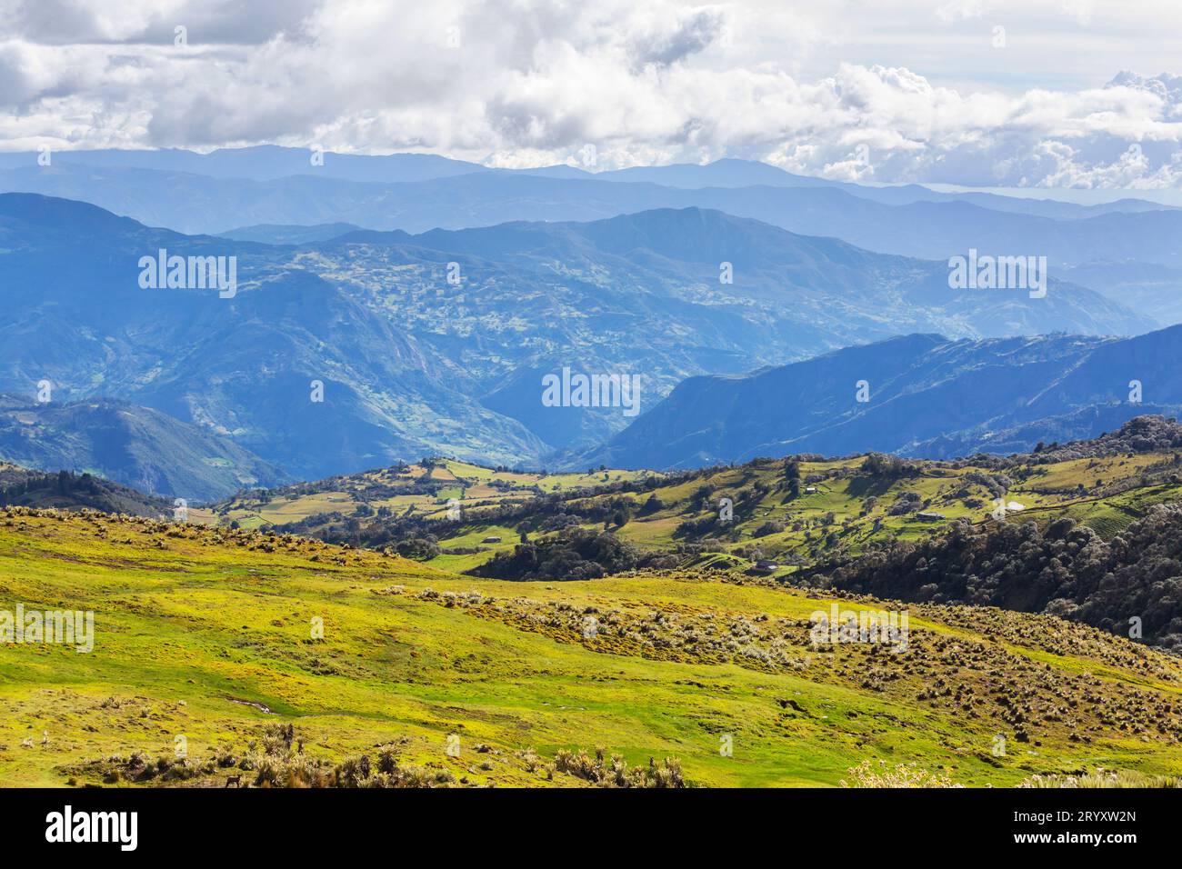 Sur america colombia hi-res stock photography and images - Alamy