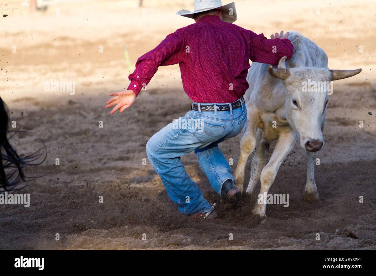 Rodeo cowboy hi-res stock photography and images - Alamy